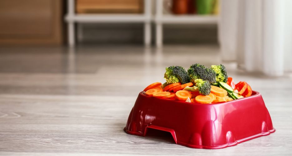 Hausgemachte Diät für Hunde: nahrhafte Rezepte und empfohlene Nahrungsergänzungsmittel