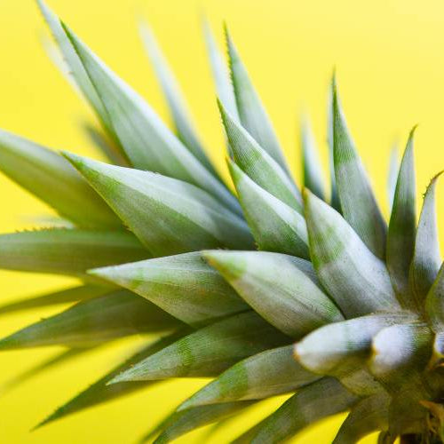 Wozu dient Bromelain und wie wirkt es gegen Cellulite?