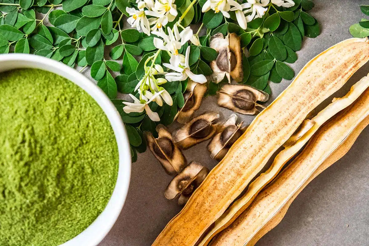 Handsanitizer-Gel mit Moringa-Duft: Warum es wählen