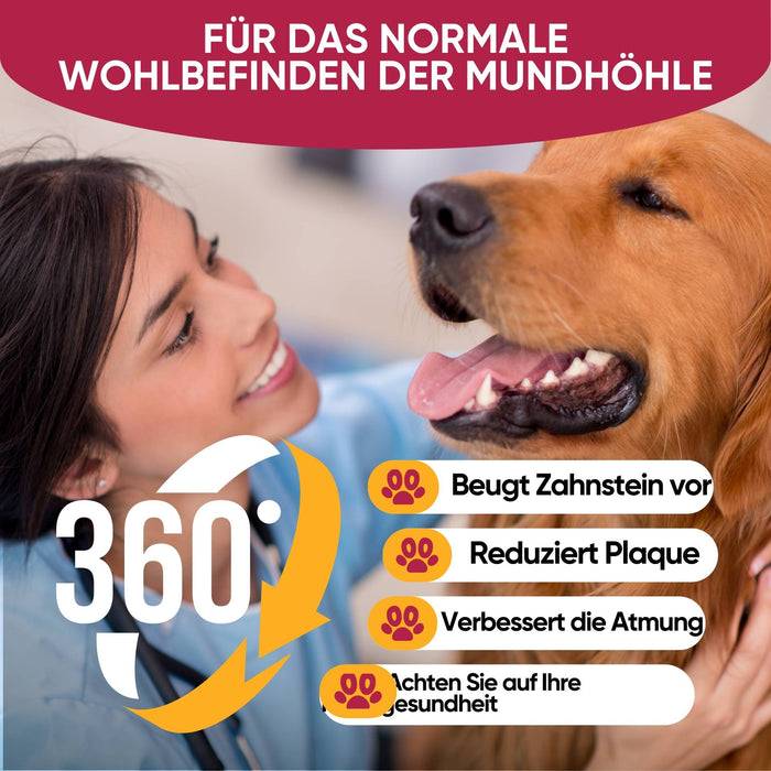 Bestes Zahnpflegepräparat für Hunde – reduziert Zahnstein, Mundgeruch und bakterielle Plaque