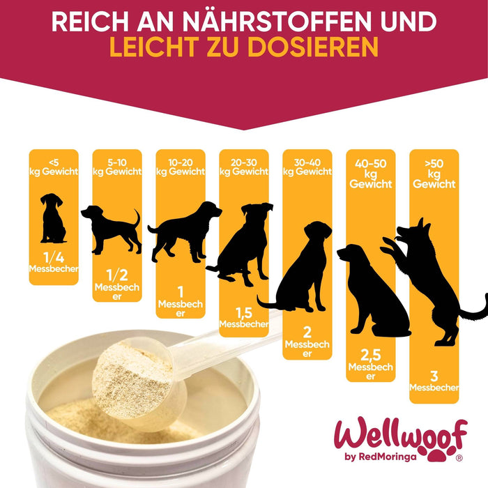 Wie man Zahnstein bei Hunden natürlich entfernt, ohne Zähneputzen