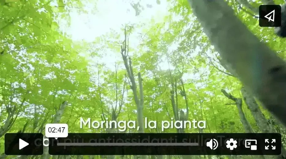 moringa