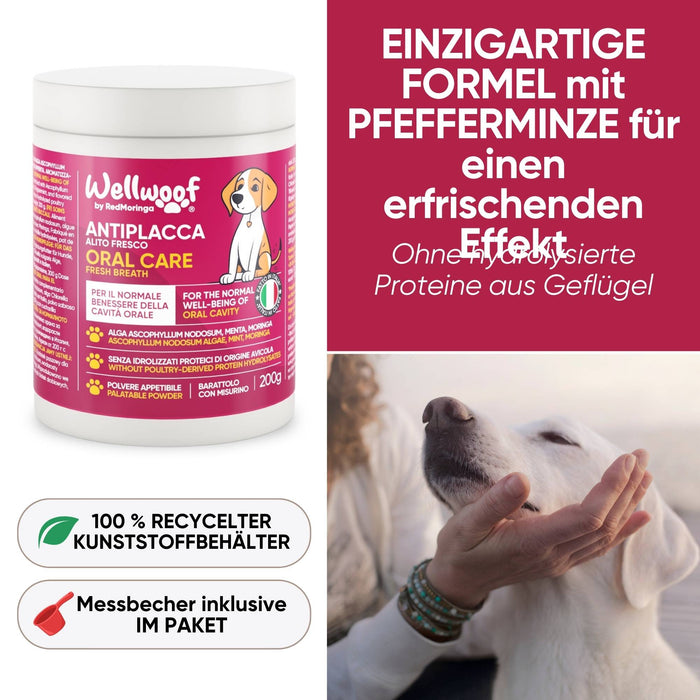 Zahnpflege für Hunde mit Ascophyllum Nodosum Algen – wissenschaftlich bewiesene Zahnsteinreduzierung