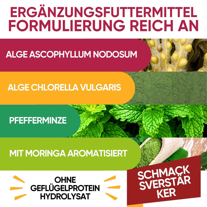 Zahnpflege-Ergänzung für Hunde – Made in Italy mit umweltfreundlicher Verpackung