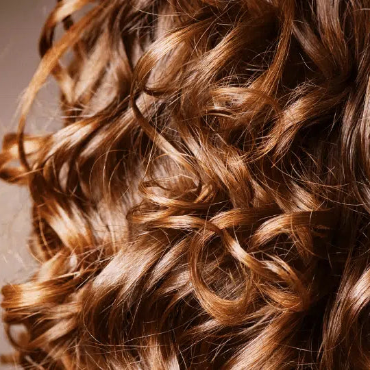 Moringa, die Eigenschaften für die Haare