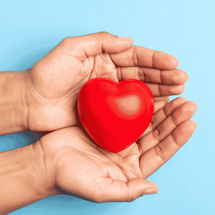 Die besten Nahrungsergänzungsmittel zur Cholesterinsenkung