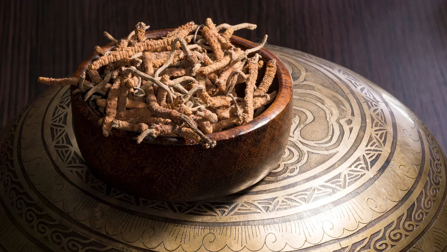 Cordyceps: Eigenschaften, Vorteile und Kontraindikationen