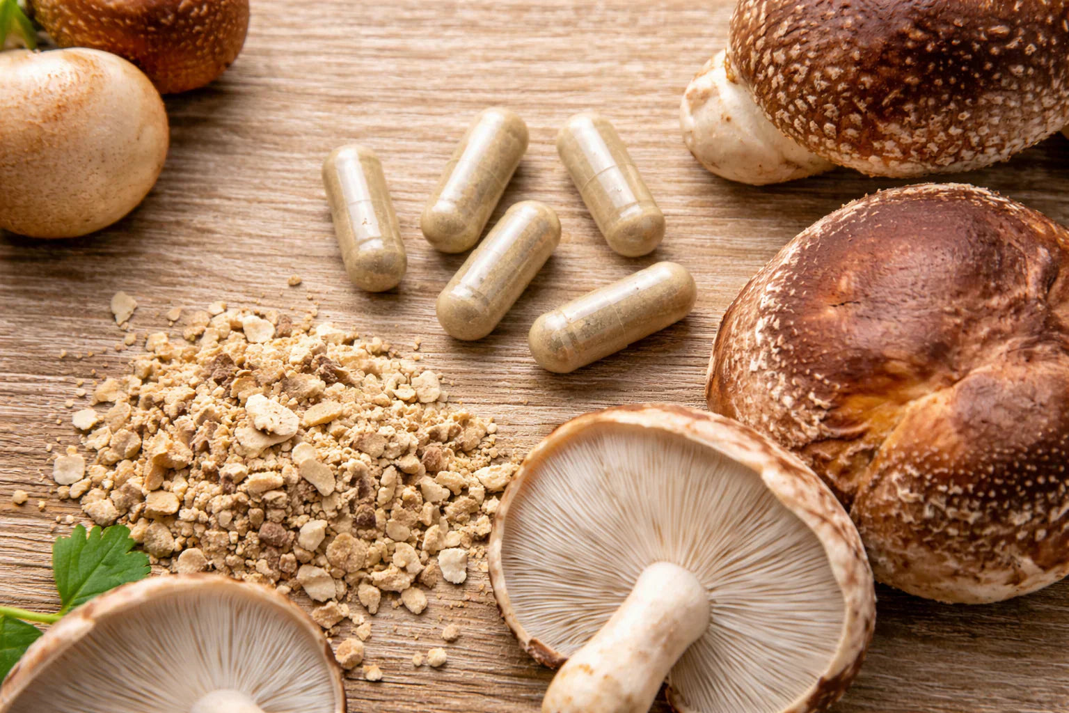 Heilpilze: Was sie sind und welche Vorteile sie bieten