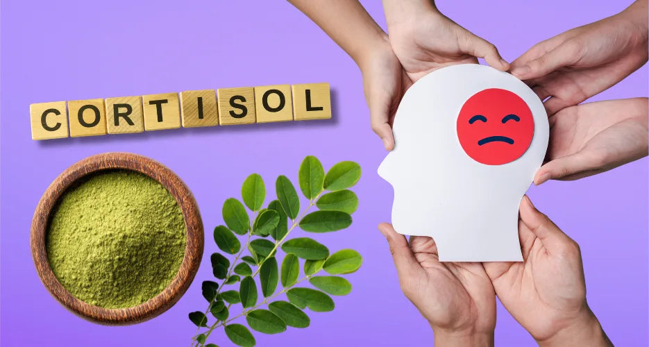 Moringa e Cortisolo