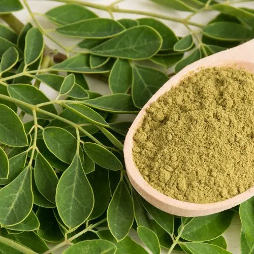 Blähbauch: Moringa, das unbekannte Heilmittel