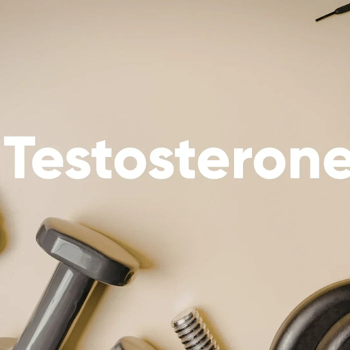 Was ist Testosteron und wie reagiert es auf Cortisol?